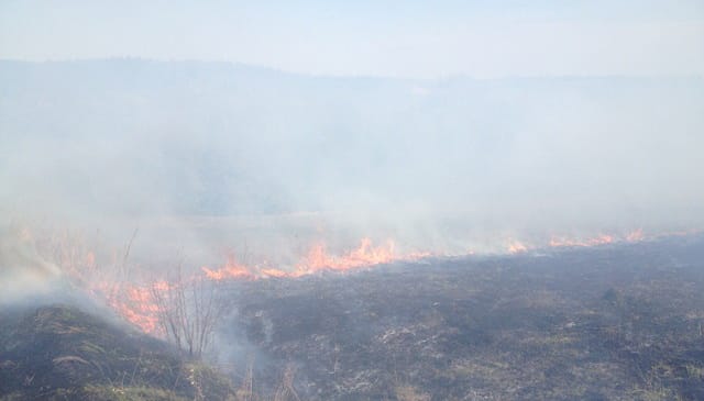 Впродовж доби на Київщині було зареєстровано 32 випадки загорання трав’яного настилу та сміття