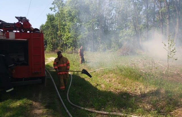 На Київщині масово горять смітники та сухостій
