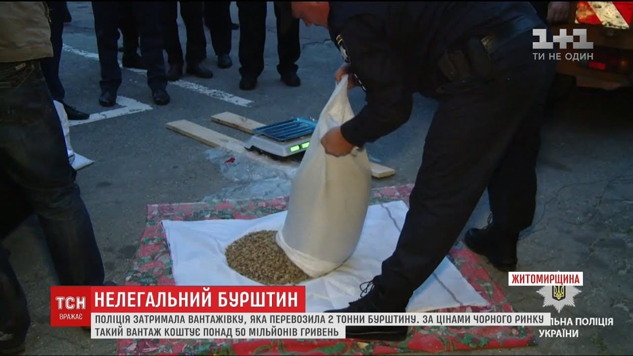 Скандальний табір “Славутич” прийняв нову зміну попри всі заборони Держспоживслужби